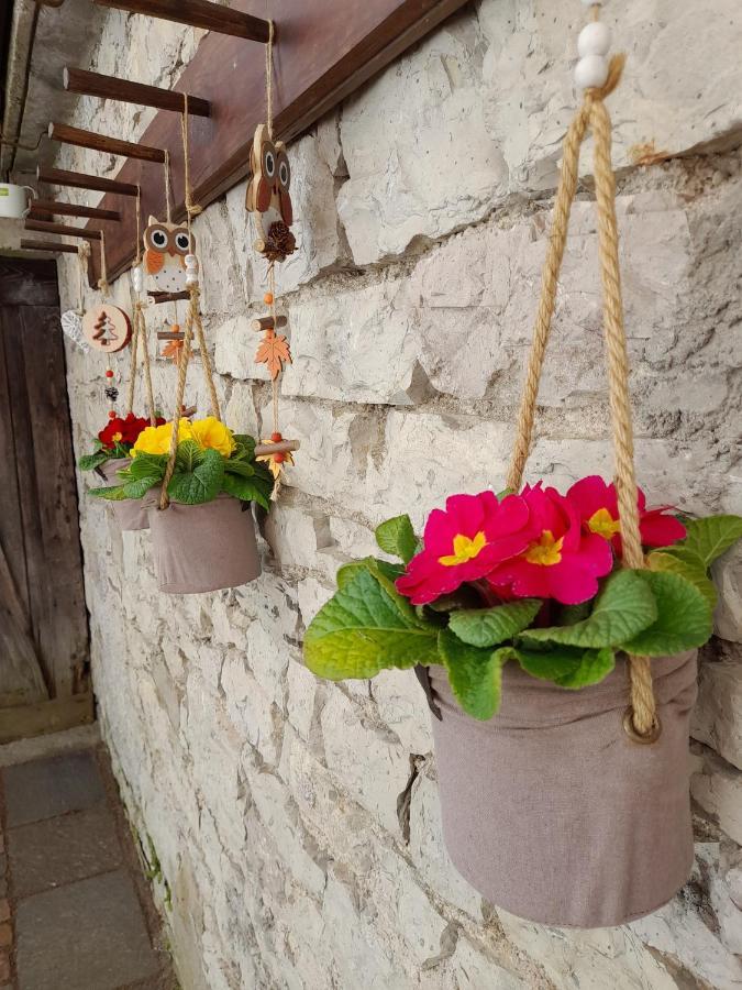 Appartement Kalipè Dolomiti à Soffranco Extérieur photo