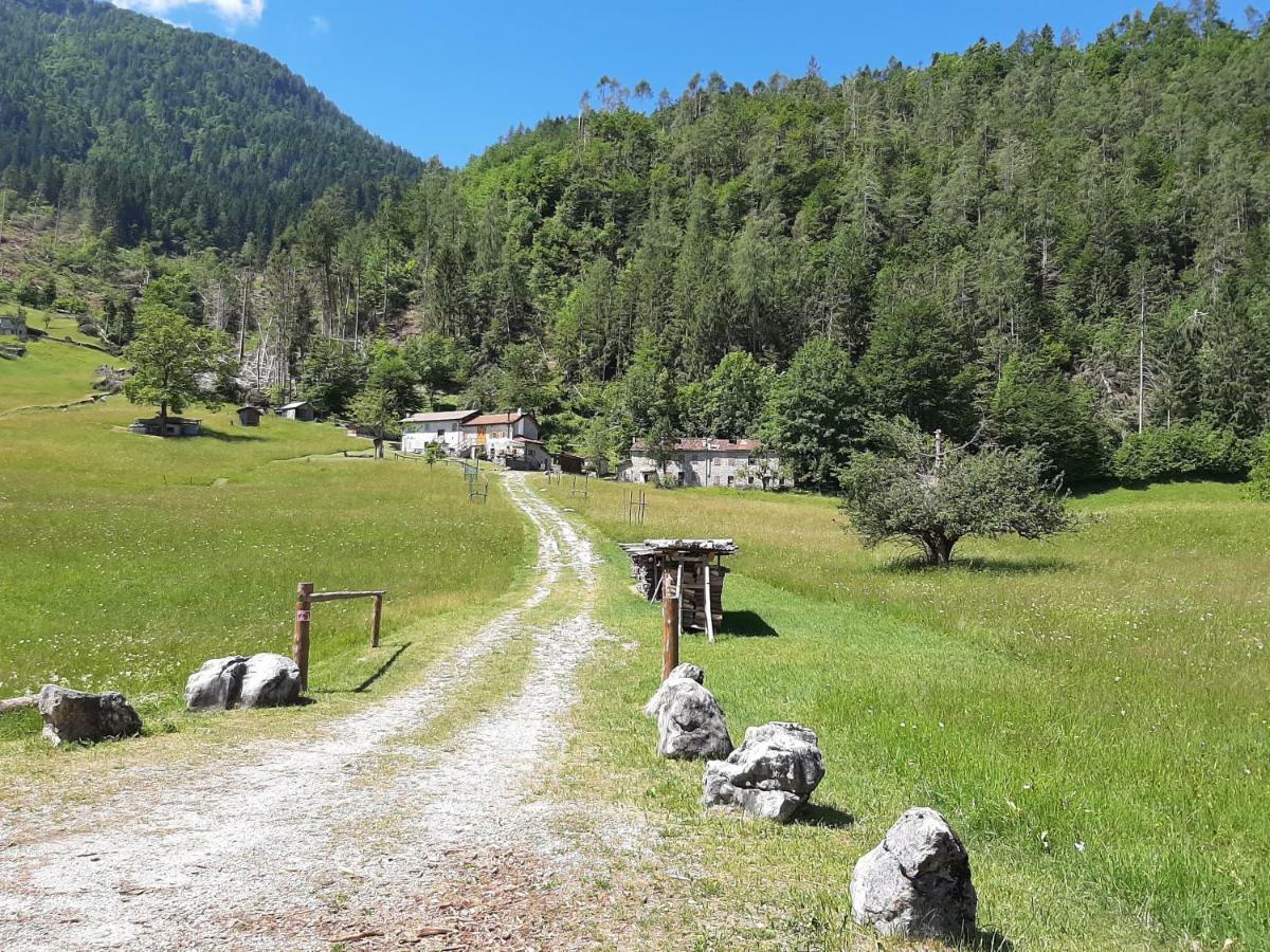 Appartement Kalipè Dolomiti à Soffranco Extérieur photo