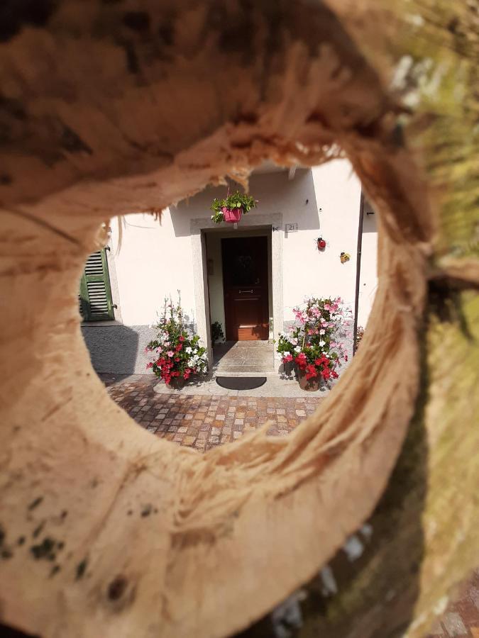 Appartement Kalipè Dolomiti à Soffranco Extérieur photo