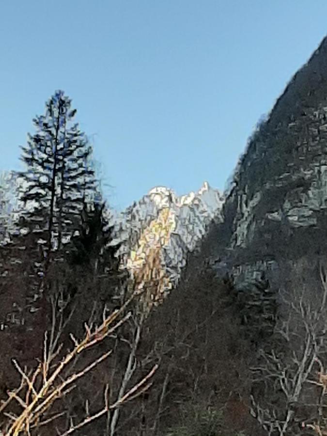 Appartement Kalipè Dolomiti à Soffranco Extérieur photo